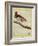 King Bird-Of-Paradise-Georges-Louis Buffon-Framed Giclee Print