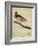 King Bird-Of-Paradise-Georges-Louis Buffon-Framed Giclee Print