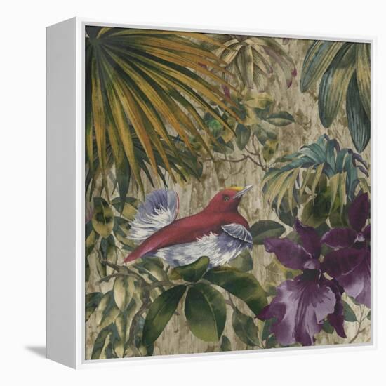 King Bird of Paradise-Bill Jackson-Framed Premier Image Canvas