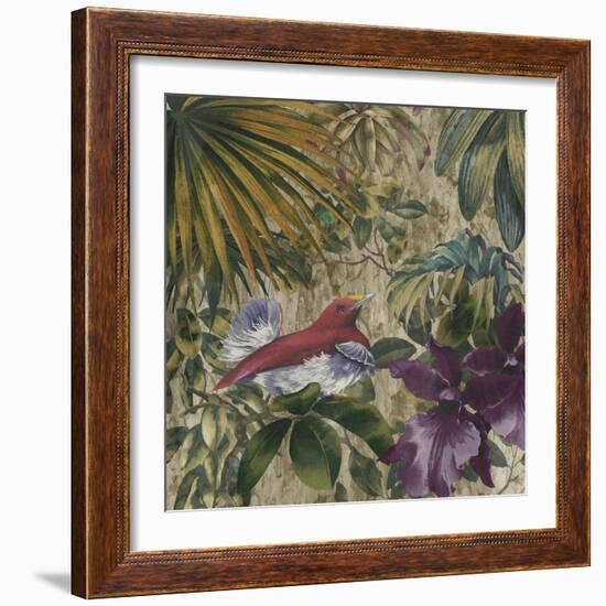 King Bird of Paradise-Bill Jackson-Framed Giclee Print