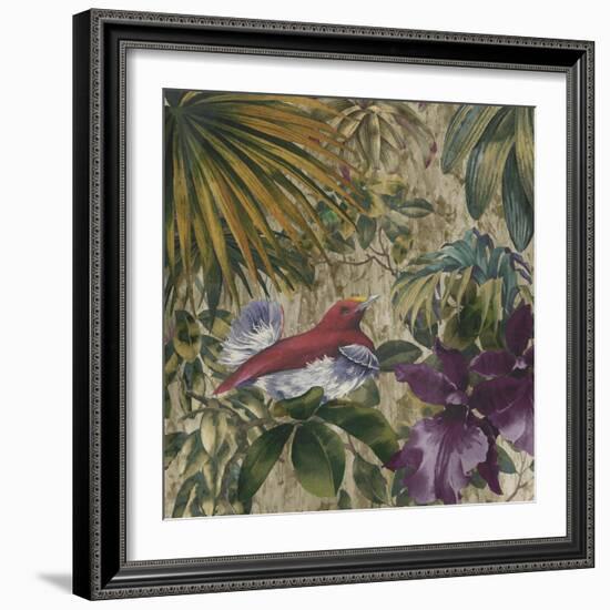 King Bird of Paradise-Bill Jackson-Framed Giclee Print