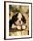 King Charles Cavalier Spaniel Puppy Portrait-Adriano Bacchella-Framed Photographic Print