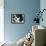 King Charles Spaniel Black and White-Karyn Millet-Framed Premier Image Canvas displayed on a wall