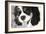 King Charles Spaniel Black and White-Karyn Millet-Framed Photographic Print