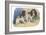King Charles Spaniel, Blenheim-null-Framed Art Print