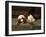 King Charles Spaniel Resting-Frederick Hall-Framed Giclee Print