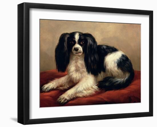 King Charles Spaniel Seated on a Red Cushion-Eugene Joseph Verboeckhoven-Framed Giclee Print