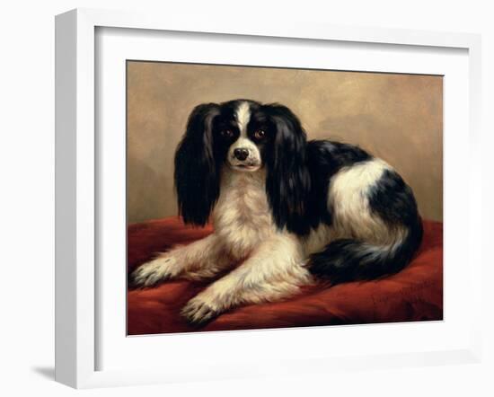 King Charles Spaniel Seated on a Red Cushion-Eugene Joseph Verboeckhoven-Framed Giclee Print