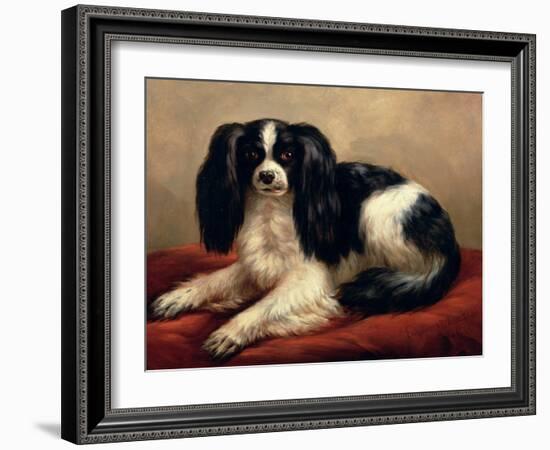 King Charles Spaniel Seated on a Red Cushion-Eugene Joseph Verboeckhoven-Framed Giclee Print