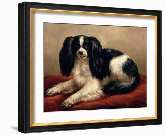 King Charles Spaniel Seated on a Red Cushion-Eugene Joseph Verboeckhoven-Framed Giclee Print