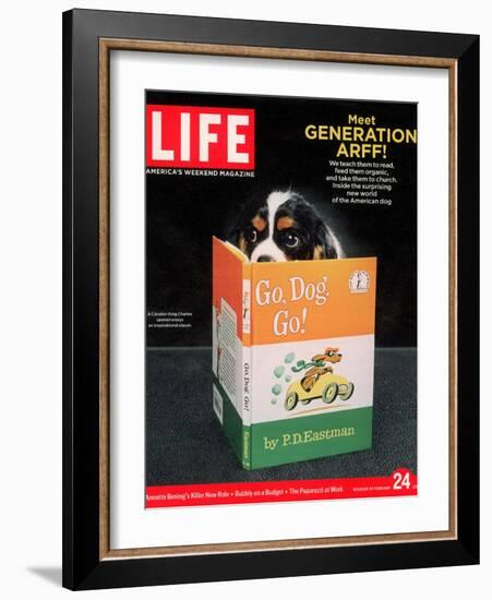 King Charles Spaniel with his Nose in the Children's Book: Go, Dog. Go!, February 24, 2006-Chris Buck-Framed Photographic Print