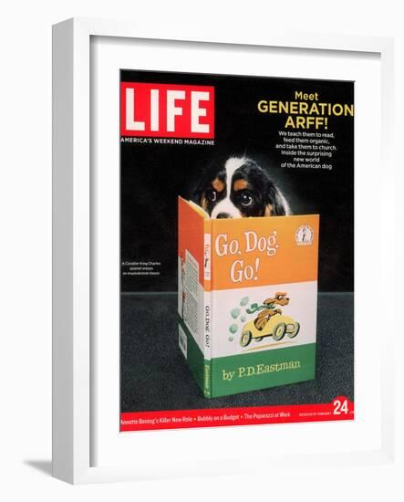 King Charles Spaniel with his Nose in the Children's Book: Go, Dog. Go!, February 24, 2006-Chris Buck-Framed Photographic Print