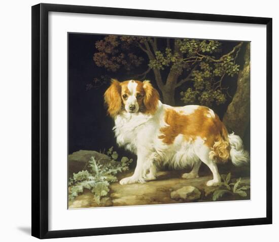 King Charles Spaniel-George Stubbs-Framed Premium Giclee Print