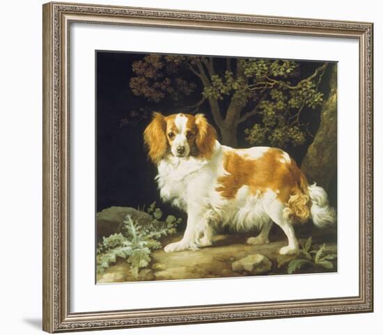 King Charles Spaniel-George Stubbs-Framed Premium Giclee Print