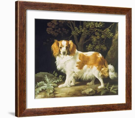 King Charles Spaniel-George Stubbs-Framed Premium Giclee Print