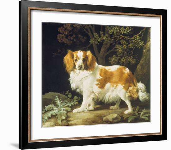 King Charles Spaniel-George Stubbs-Framed Premium Giclee Print