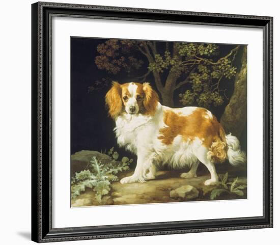 King Charles Spaniel-George Stubbs-Framed Premium Giclee Print