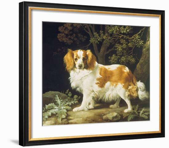 King Charles Spaniel-George Stubbs-Framed Premium Giclee Print