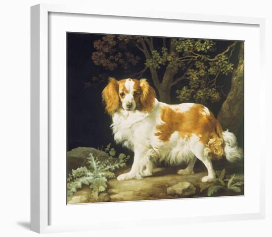 King Charles Spaniel-George Stubbs-Framed Premium Giclee Print