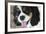 King Charles Spaniel-Karyn Millet-Framed Photographic Print