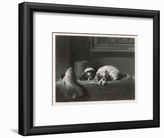 King Charles Spaniels the Cavalier Pets-J. Outrim-Framed Art Print