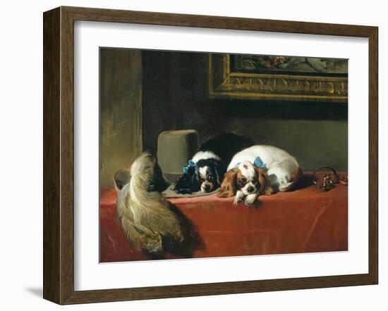 King Charles Spaniels ('The Cavalier's Pets')-Edwin Henry Landseer-Framed Giclee Print