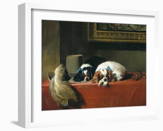 King Charles Spaniels ('The Cavalier's Pets')-Edwin Henry Landseer-Framed Giclee Print