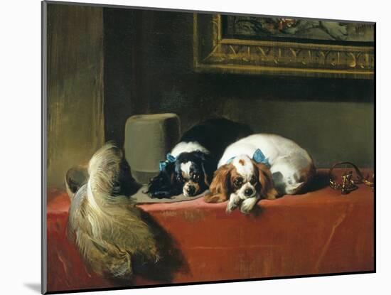 King Charles Spaniels ('The Cavalier's Pets')-Edwin Henry Landseer-Mounted Giclee Print