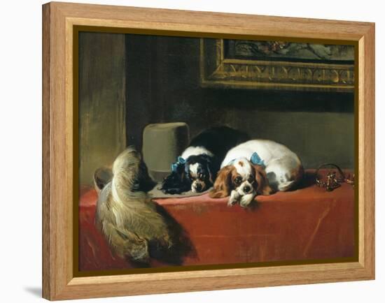 King Charles Spaniels ('The Cavalier's Pets')-Edwin Henry Landseer-Framed Premier Image Canvas