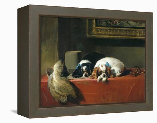 King Charles Spaniels ('The Cavalier's Pets')-Edwin Henry Landseer-Framed Premier Image Canvas