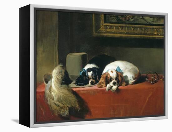 King Charles Spaniels ('The Cavalier's Pets')-Edwin Henry Landseer-Framed Premier Image Canvas