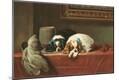 Premium Giclee Print