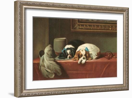 King Charles Spaniels-null-Framed Art Print