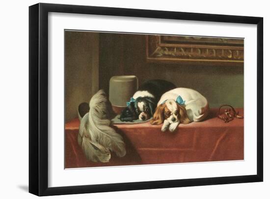 King Charles Spaniels-null-Framed Art Print