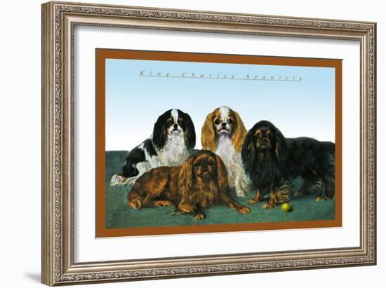 King Charles Spaniels-null-Framed Art Print