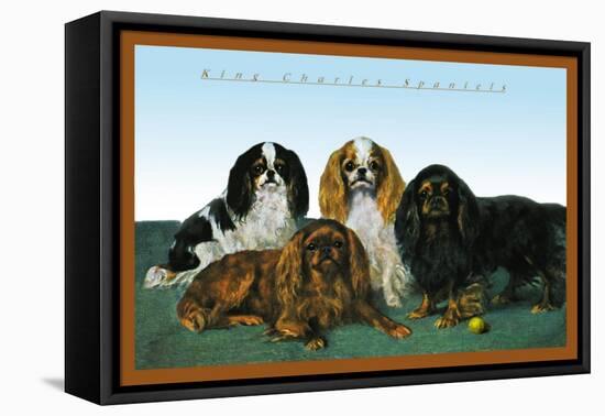 King Charles Spaniels-null-Framed Stretched Canvas