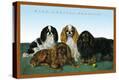 Stretched Canvas Print