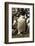 King Cormorant-Joe McDonald-Framed Photographic Print