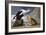 King Duck-John James Audubon-Framed Art Print