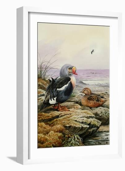 King Eider-Carl Donner-Framed Giclee Print