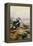 King Eider-Carl Donner-Framed Premier Image Canvas