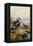 King Eider-Carl Donner-Framed Premier Image Canvas