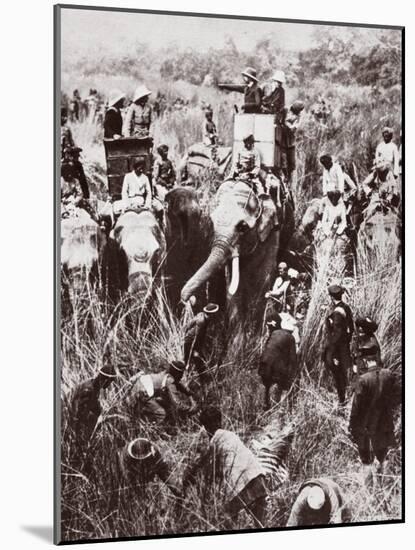 King George Tiger Hunting in Nepal-English Photographer-Mounted Photographic Print