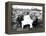 King George V Having Lunch in the Chitwan Valley During a Tiger Shoot, 1911-English Photographer-Framed Premier Image Canvas