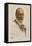 King George V-Sir John Lavery-Framed Stretched Canvas