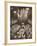King George Vis Coronation Procession, Westminster Abbey, 1937-null-Framed Photographic Print