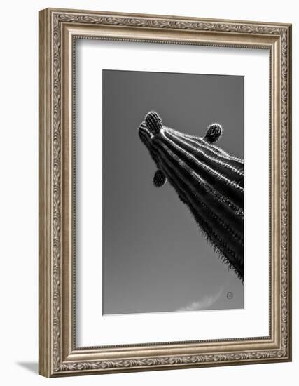 King II v2-Nathan Larson-Framed Photographic Print