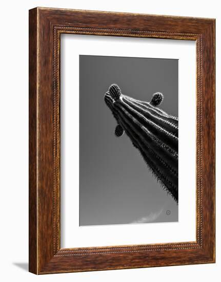 King II v2-Nathan Larson-Framed Photographic Print