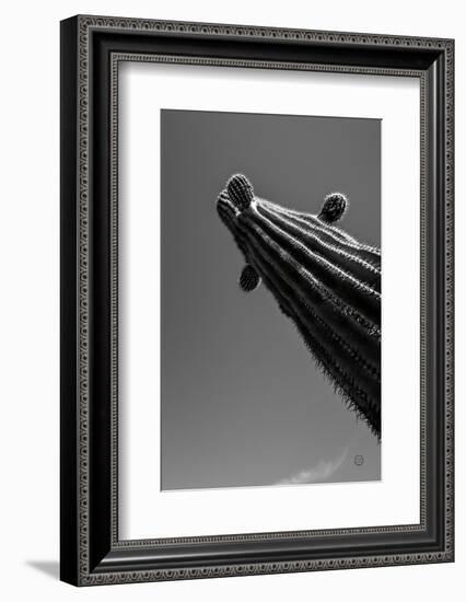 King II v2-Nathan Larson-Framed Photographic Print