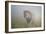 King in the Mist-Frits Hoogendijk-Framed Photographic Print